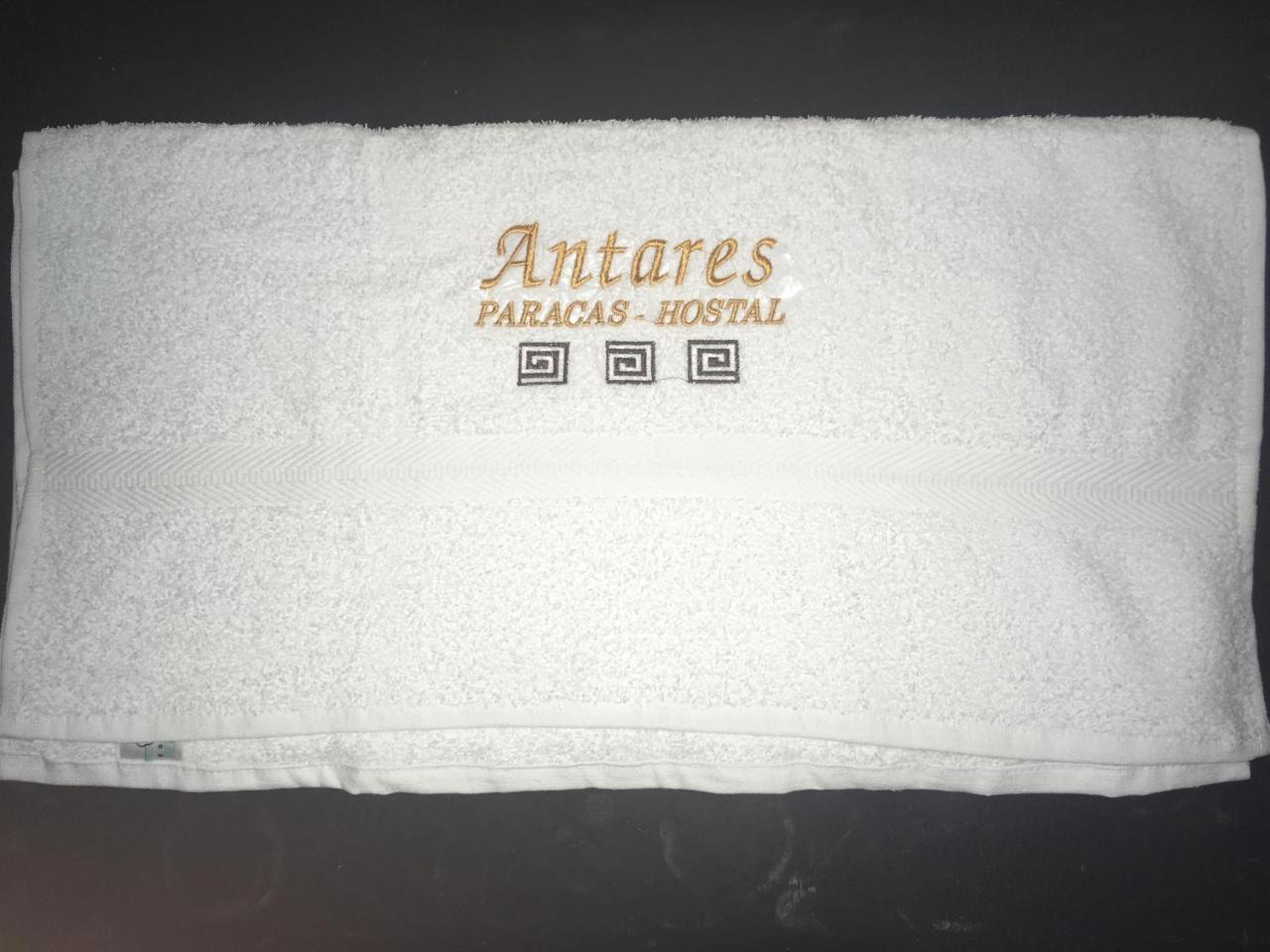 Antares Paracas Exteriör bild